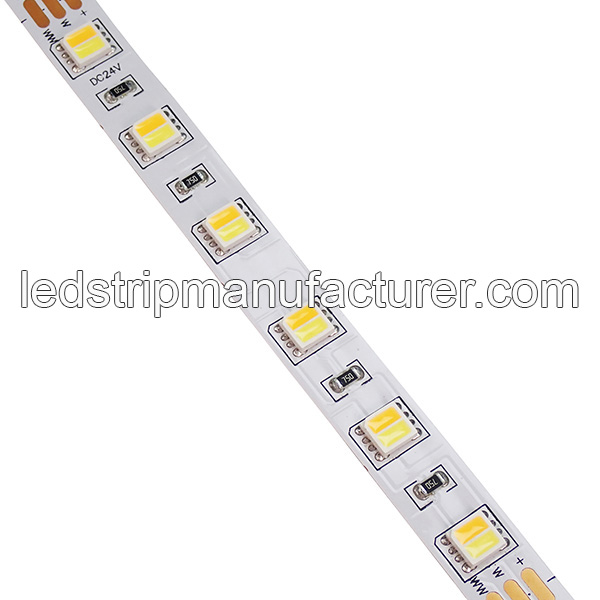 5050 Color Temperature Adjustable LED Strip Lights 60led/m 24V 10mm width 2 chips in one led